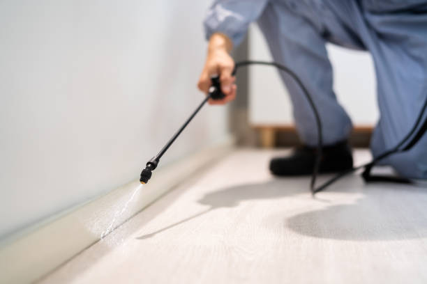 Licensed Exterminator service in Springfield, OH - Show Me Pest Control