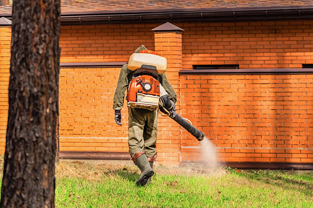 Top rated local Wasp Removal specialists in Springfield, OH